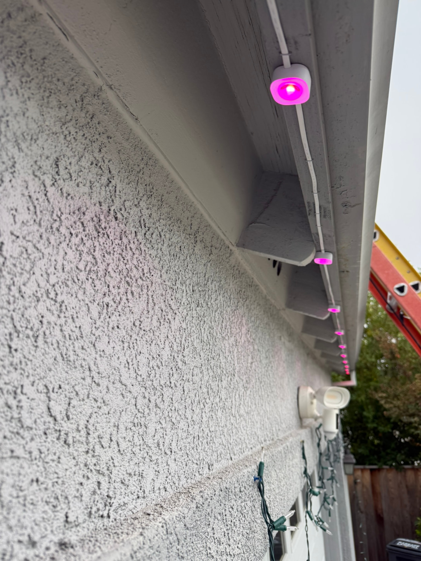 Govee Lights in Alamo