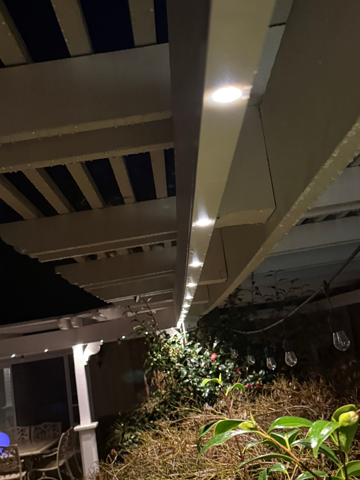 Govee Lights in Alamo
