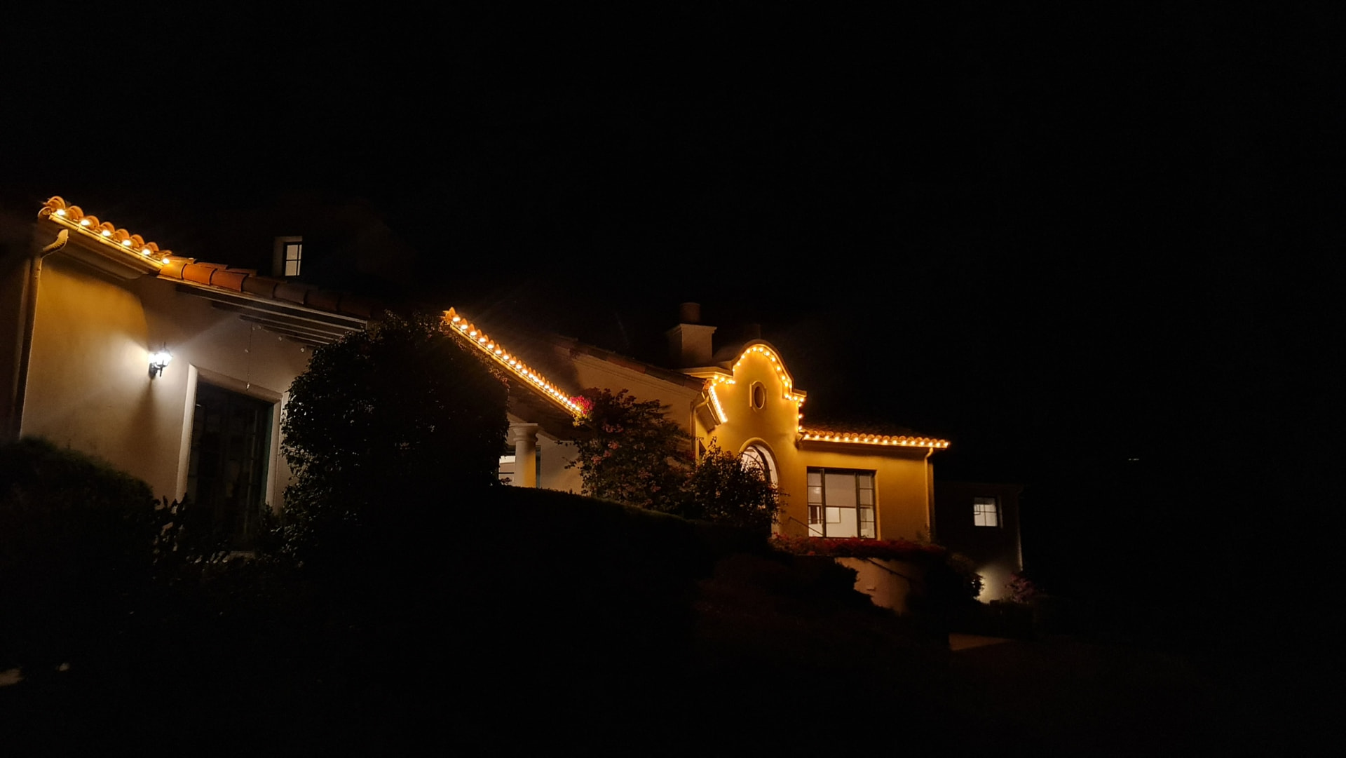Christmas Lights in Alamo
