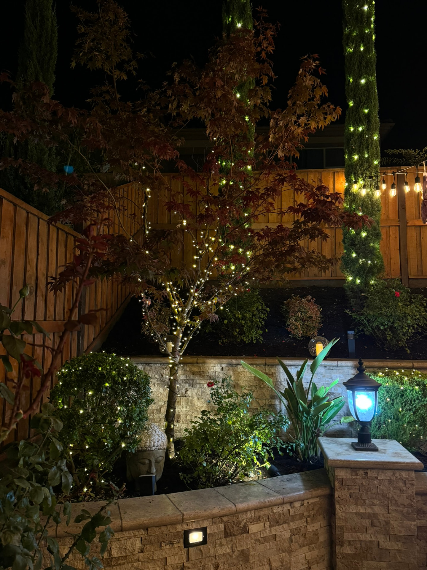 Christmas Lights in Dublin