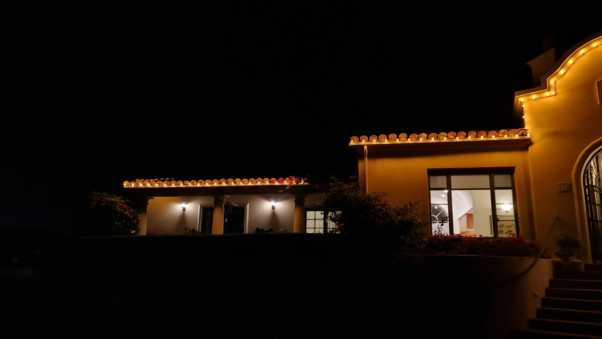 Christmas Lights in Alamo